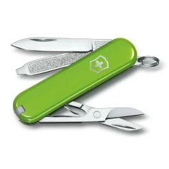 Classic SD Pocket Knife