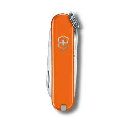 Classic SD Pocket Knife