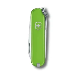Classic SD Pocket Knife