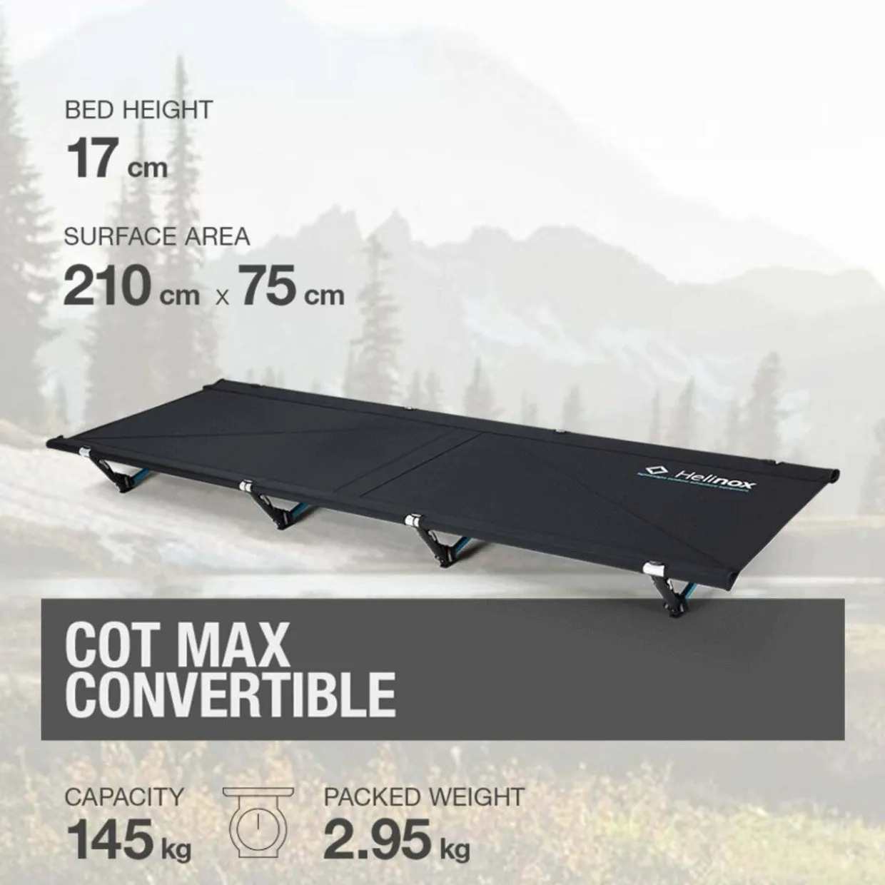 Cot Max Convertible