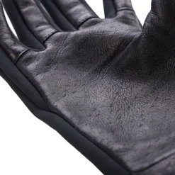 Gulo Windstopper Gloves