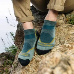 Light Hiker No Show Socks