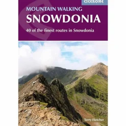 Mountain Walking in Snowdonia