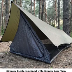 Simplex Mesh 1P