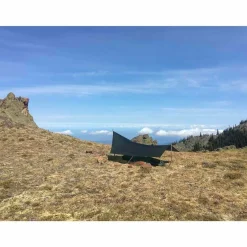 Tarp 5