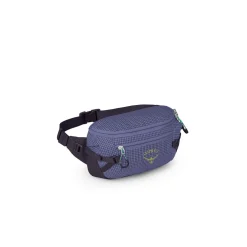 Transporter Waist Pack