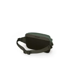 Transporter Waist Pack