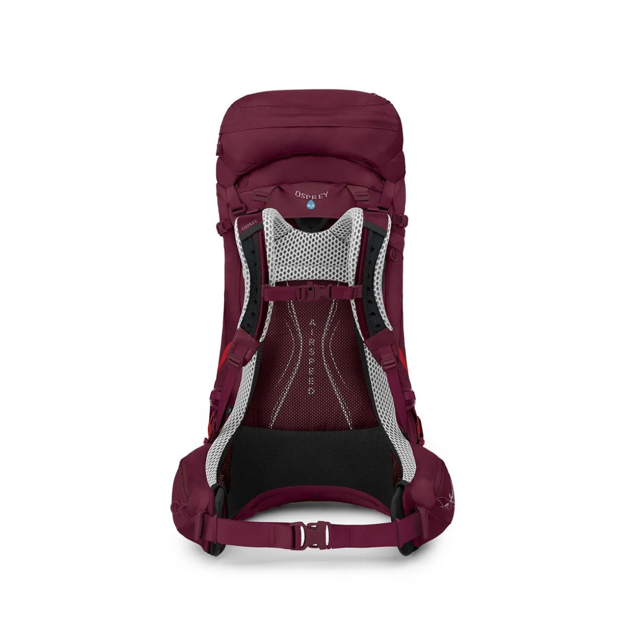 Womens Aura AG LT 50 Rucksack