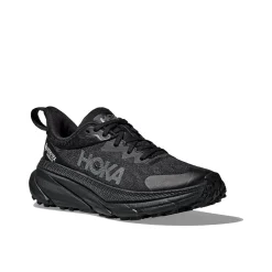 Womens Challenger ATR 7 GTX