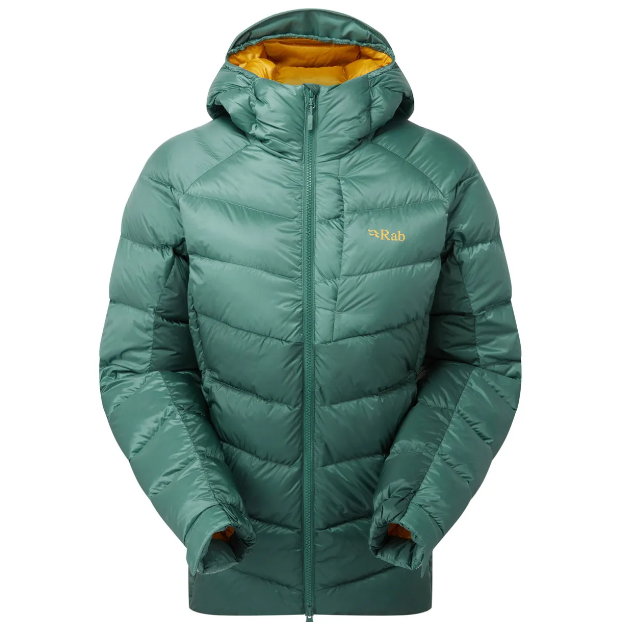 Womens Glaceon Pro Down Jacket