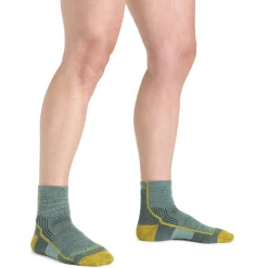 Womens Hiker 1/4 Socks