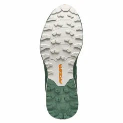 Womens Ribelle Run GTX