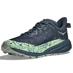 Womens Speedgoat 6 GTX - Past Season Colours
