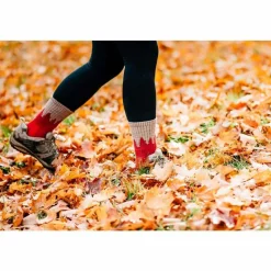 Womens Treeline Micro Crew Socks